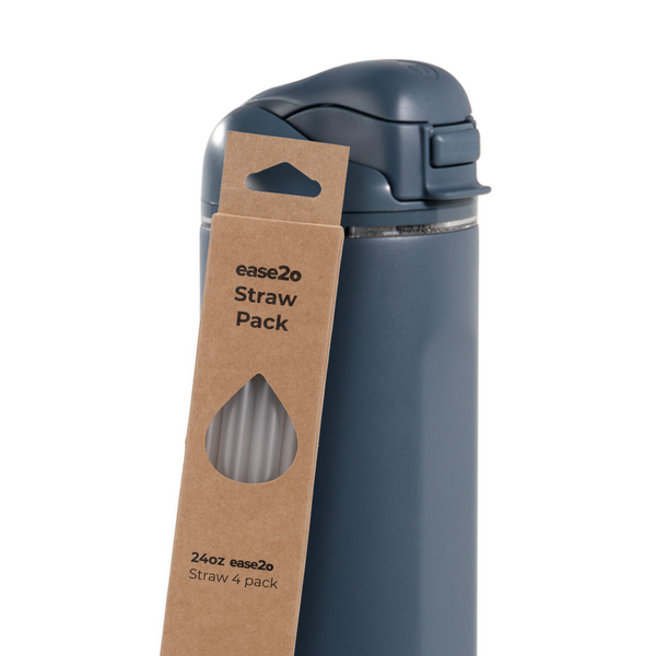 Ease2o Straws 4 Pack 24oz 0x3